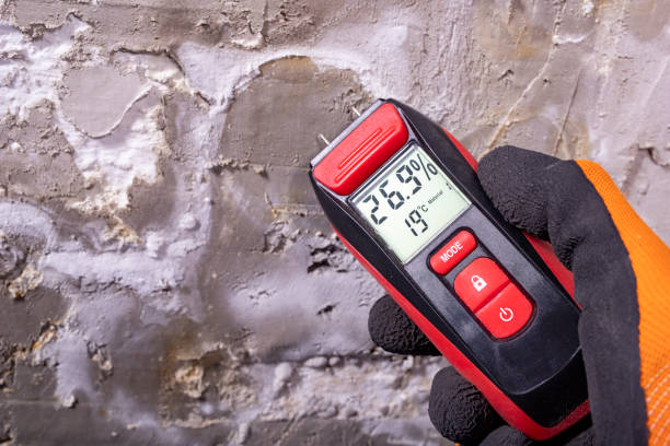 Best Kitchen Mold Remediation in Selma, TX