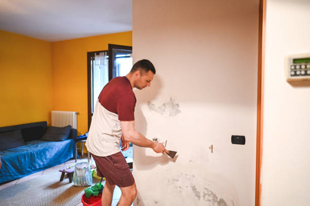 Best Residential Mold Remediation in Selma, TX
